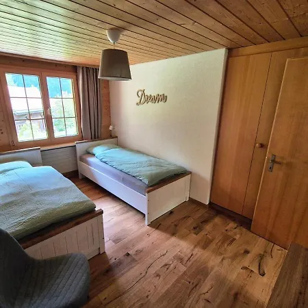 Condor - Aare Jungfrau Ag * 格林德瓦