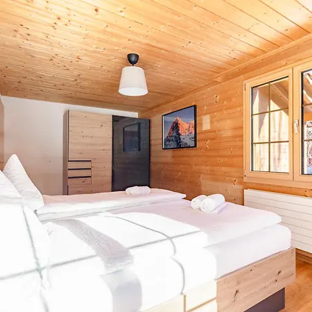 Condor - Aare Jungfrau Ag