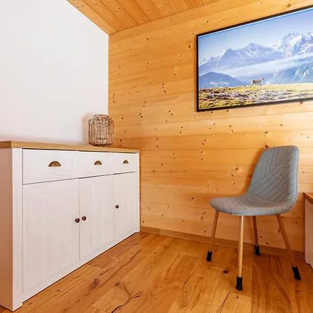 Condor - Aare Jungfrau Ag Grindelwald
