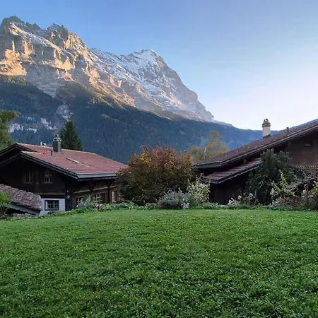 Condor - Aare Jungfrau Ag * Grindelwald