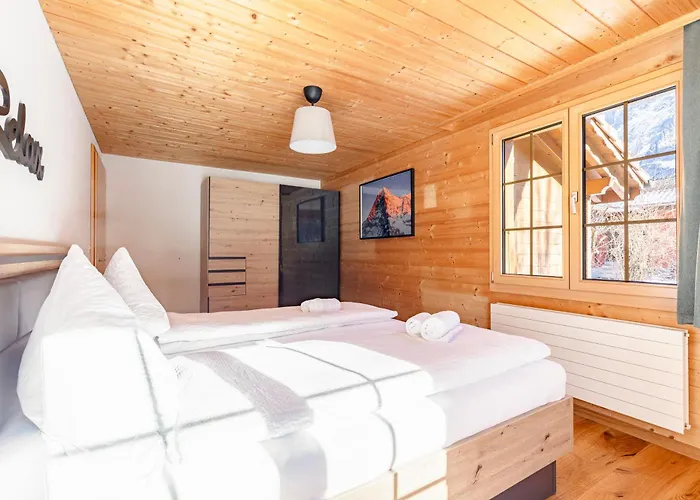 Condor - Aare Jungfrau Ag