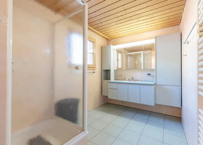 Condor - Aare Jungfrau Ag Grindelwald